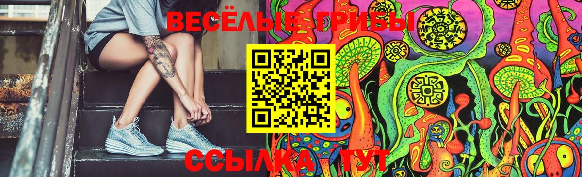 Галлюциногенные грибы GOLDEN TEACHER Джанкой