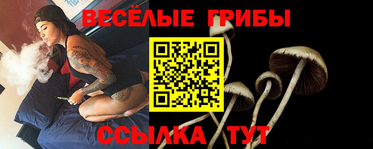 Псилоцибиновые грибы Psilocybine cubensis  Вход с VPN  Джанкой 